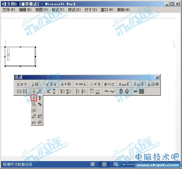 选择分数类型