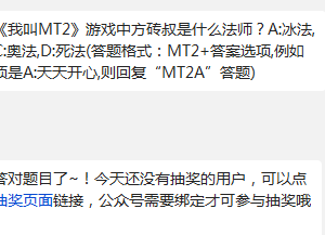 我叫MT2游戏中方砖叔是什么法师?