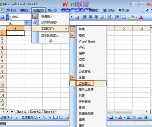 教你监视Excel2003的窗口，实现动态监控