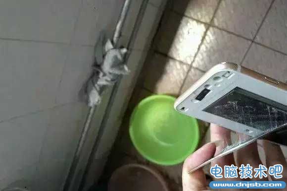 1200元iPhone 6靠谱吗？结果只有坑爹这一种