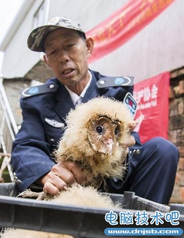 江西村民捡到五只猴面鹰 系国家二级保护动物.jpg