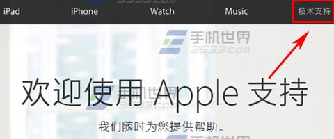 苹果iPhone6sPlus激活时间查看方法