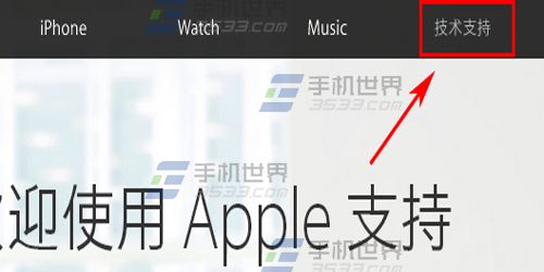 苹果iPhone6S怎么查激活时间