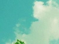 女生超拽霸气陌陌网名