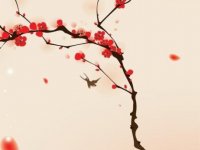 精选彪悍女生长网名