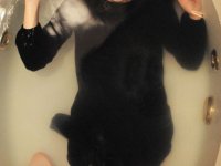 qq网名超拽霸气范女生