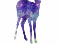 新年超拽的非主流网名分享