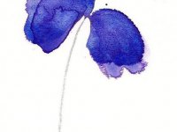 经典的个性网名