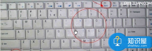 笔记本数字小键盘怎么开 怎么打开笔记本小键盘得方法
