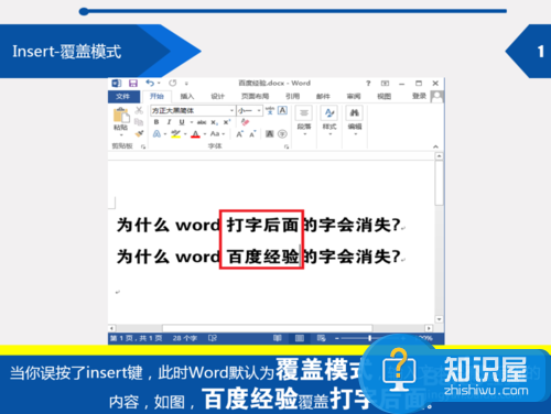 word打字时后面的字会消失是什么原因 Word打字时后面的字没了怎么办