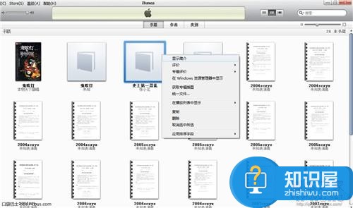 ios应用ibooks的介绍