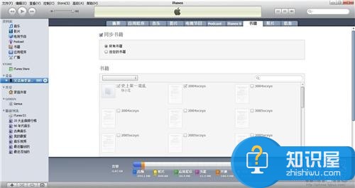 ios应用ibooks的介绍