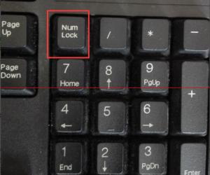 电脑小键盘不能输入数字键怎么办 键盘右侧的数字输入不了解决方法
