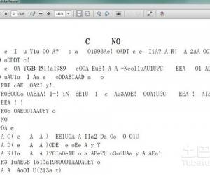 pdf文件打开是乱码怎么办 打开PDF出现乱码的解决办法