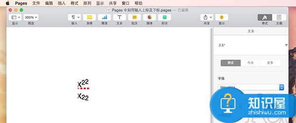 苹果电脑pages如何设置上下标方法 Mac系统的pages怎么加上下标设置技巧