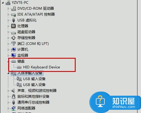 USB键盘接入电脑无法识别怎么解决 更新驱动解决usb无法识别