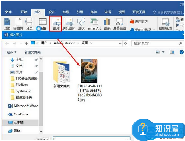 win7系统在word2016中插入图片的设置方法 word2016怎么插入图片