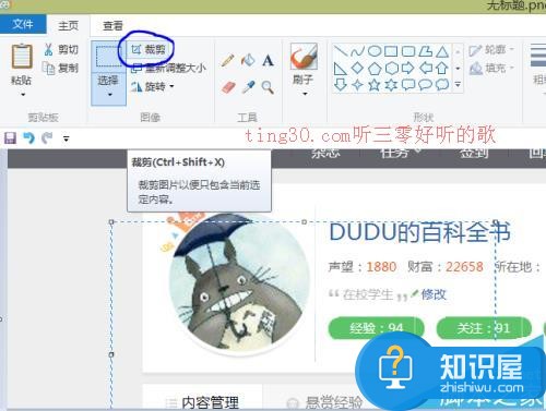 windows自带的画图工具怎么裁剪图片?  听三零