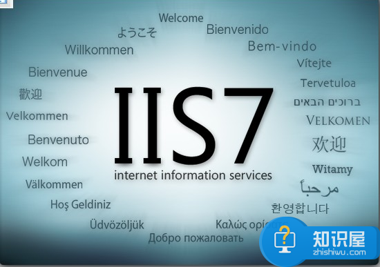 什么是IIS IIS的有什么作用