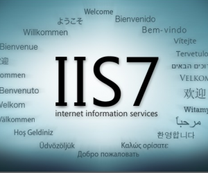 什么是IIS IIS的有什么作用