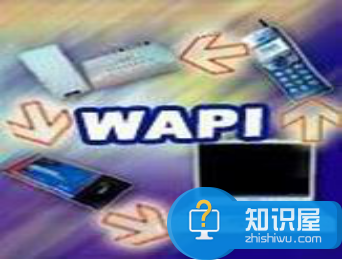 ios10系统的wapi是什么意思？ wapi 启动有什么用