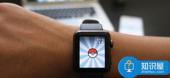 Apple Watch用户有的玩了，精灵宝可梦Go正式登录Apple Watch