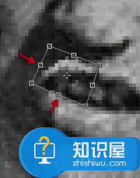 如何利用ps软件修复破损严重的照片?