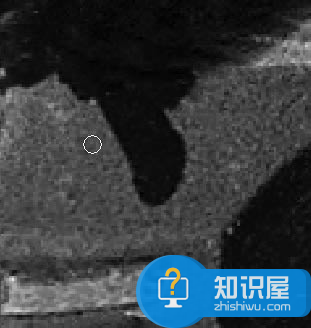 如何利用ps软件修复破损严重的照片?