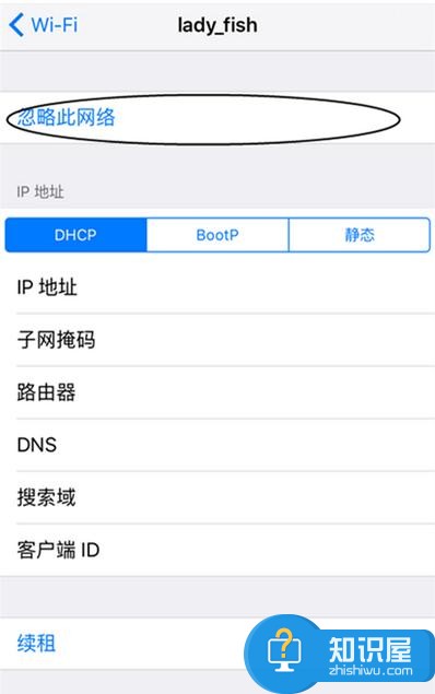 iPhone显示已经连接wifi但是不能上网怎么办 iPhone显示已经连接wifi但是不能上网解决方法