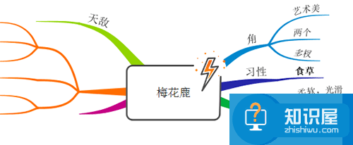 如何将iMindMap中的文件导出成我们常用的图片格式？