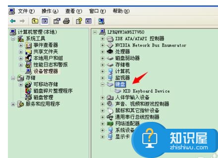 电脑键盘打不出字了怎么办 电脑键盘打不出字了的解决方法