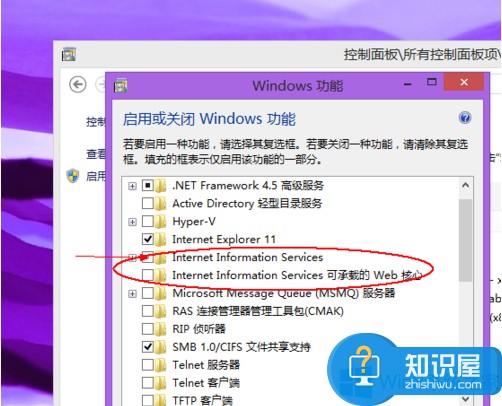 Win8.1怎么安装IIS Windows8.1IIS安装教程