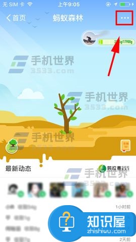 支付宝蚂蚁森林如何关闭技巧教程 支付宝app怎么关闭蚂蚁森林方法