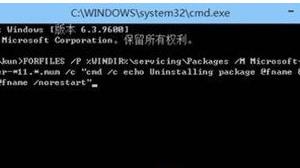 Win8系统IE11无法卸载怎么办 Win8系统IE11无法卸载操作技巧