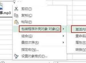 Excel2013怎么插入音频文件图文教程 Excel2013插入音频文件的步骤