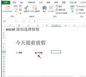 Excel中2013版进行添加选择框按钮的操作技巧 Excel中2013版进行添加选择框按钮的操作步骤