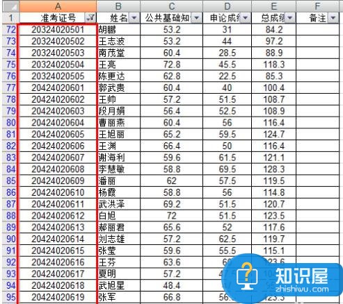 Excel如何把想要的人筛选出来 Excel筛选数据的操作方法