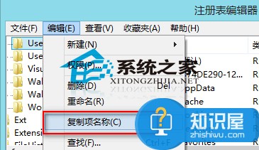 Win8如何复制注册表编辑器某个项的完整地址 Win8系统复制注册表编辑器某个项的完整地址操作方法