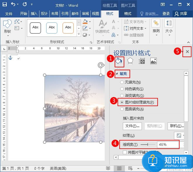 Word 2016设置图片透明度的详细步骤介绍