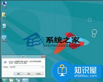 开启Win8放大镜功能的详细教程 Win8系统放大镜功能的开启方法