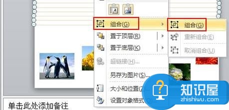 powerpoint怎么给图片添加底纹样式 ppt2010图片添加底纹样式的方法