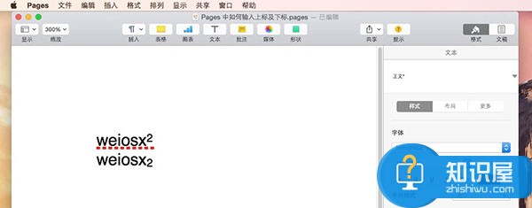 Pages怎么输入上标下标方法技巧 Mac系统的pages怎么加上下标