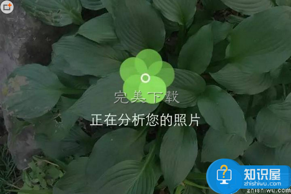 形色APP——智能识花机器人，瞬间变身花神