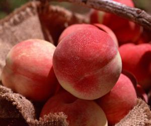 吃桃子的好处都有哪些 桃子的功效与作用