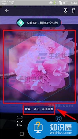 支付宝扫花识花怎么玩技巧 支付宝app怎么参与AR扫花识花方法