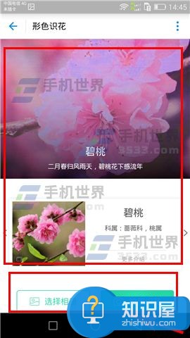 支付宝扫花识花怎么玩技巧 支付宝app怎么参与AR扫花识花方法