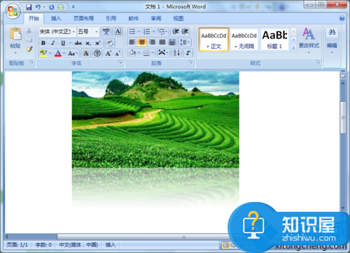 win7如何在word中设置图片倒影效果 win7系统word文档设置图片有倒影效果方法