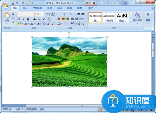 win7如何在word中设置图片倒影效果 win7系统word文档设置图片有倒影效果方法