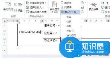 word2013制作准考证图文教程