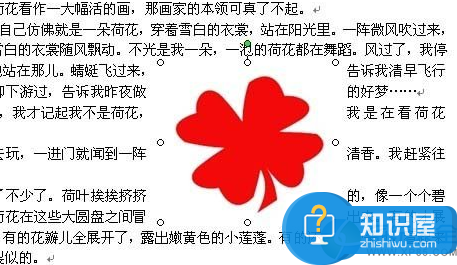 word怎么将文字设置成环绕图片 word文字环绕图片设置教程